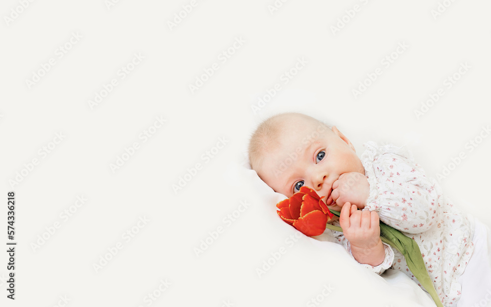 A baby with a red flower in his hand lies on the bed. White background with a newborn with a copy space. Wide banner for advertising children's goods, Mother's Day, March 8. Photo, blurry background. A baby with a red flower in his hand lies on the bed. White background with a newborn with a copy space. Wide banner for advertising children's goods, Mother's Day, March 8. Photo, blurry background.