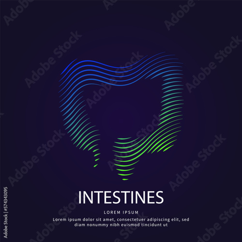 Human Intestine medical structure. Vector logo Intestines color silhouette on a dark background. Large Intestine logo vector template suitable for organization, company, or community. EPS 10