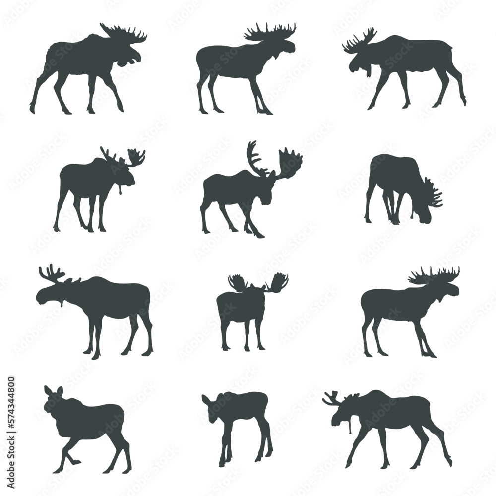 Moose silhouettes, Moose silhouette set Moose silhouettes, Moose silhouette set