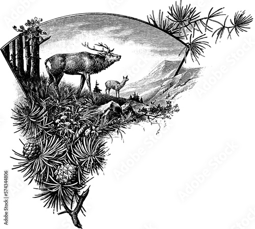 Victorian Engraving of Deer Stood in Field with Pine Cones and Branch
