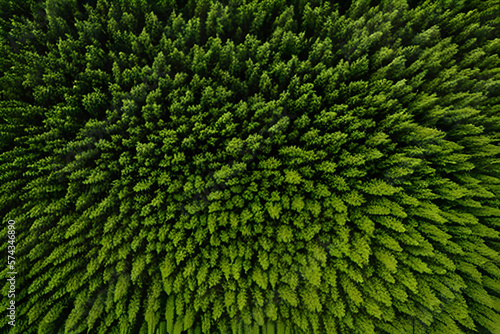Green textured nature background.