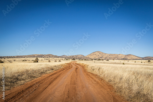 A dirt road leading off into the distance to mountains on the horizon under a clear blue sky.