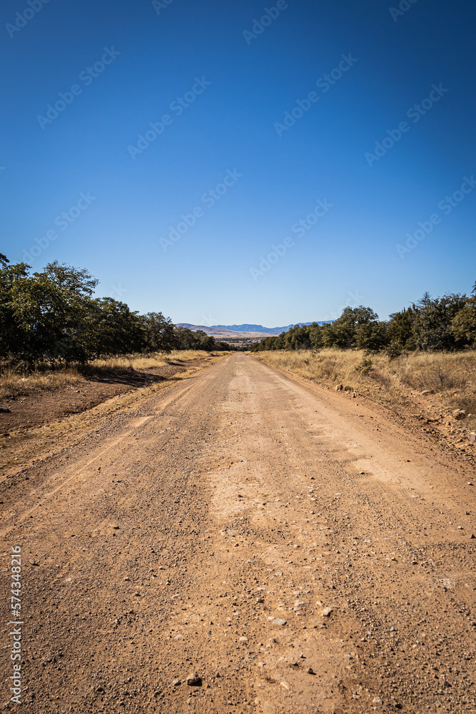 A dirt road leading off into the distance to mountains on the horizon under a clear blue sky.