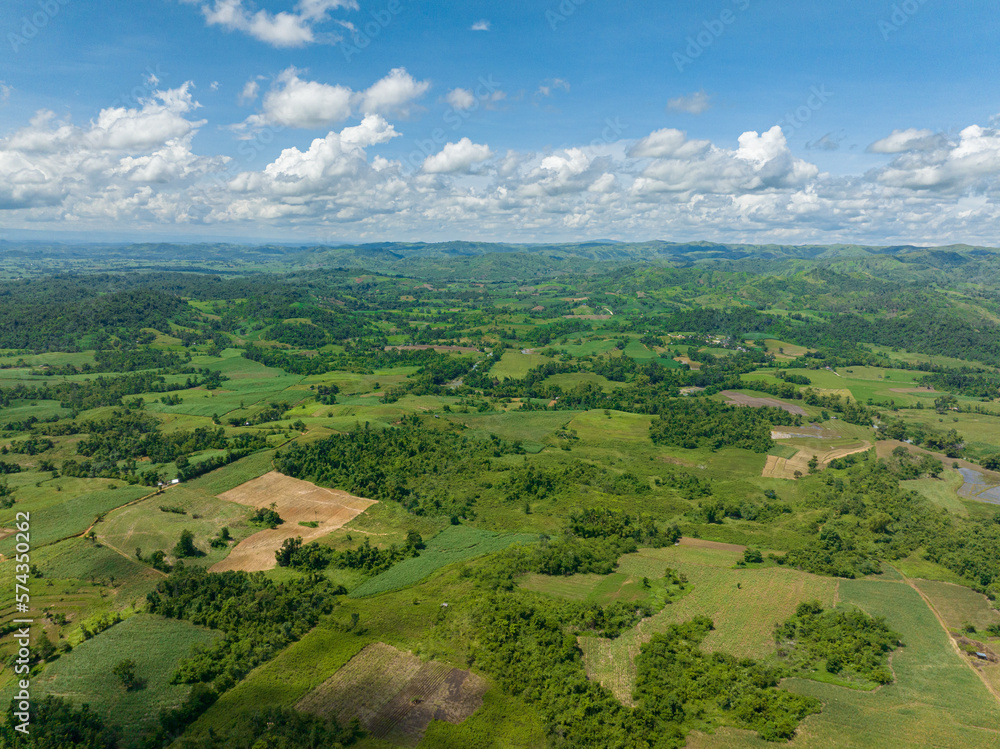 Aerial view of farmland and plantations with vegetables in the countryside. Negros, Philippines