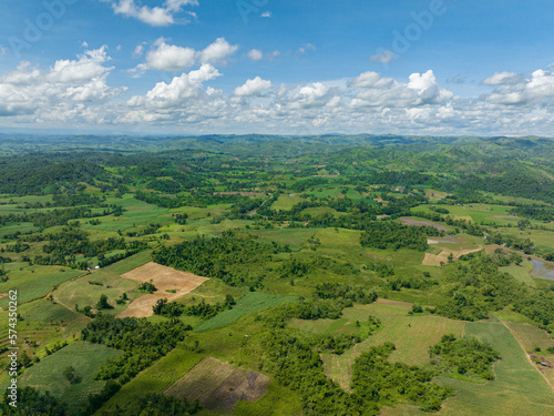 Fototapeta Naklejka Na Ścianę i Meble -  Aerial view of farmland and plantations with vegetables in the countryside. Negros, Philippines