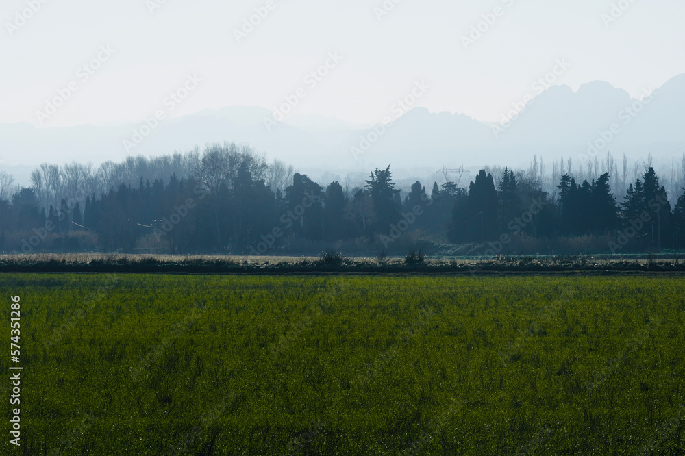 Beautiful natural landscape green meadow and in the background silhouettes of mountains with light with space for text. Le baux france mountains. 
Mountain landscape in a haze under a blue sky.