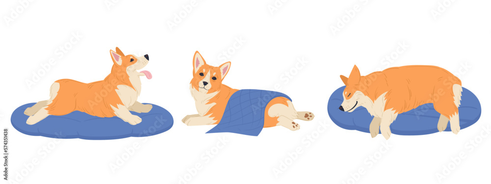 Obraz premium Cartoon corgi dog. Cute resting and sleeping corgi pet, happy domestic pedigree puppy flat vector illustration set