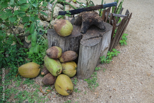 Space to open coconuts, Cuba Caribbean