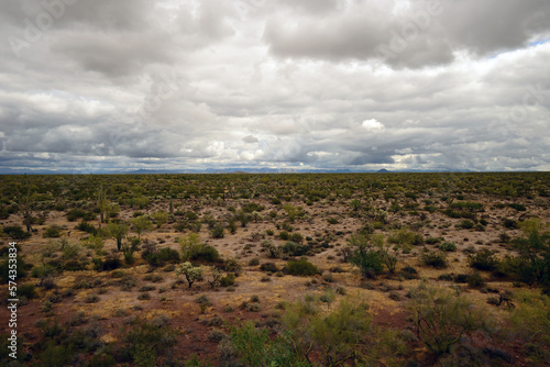 Storm Clouds Sonora Desert Arizona