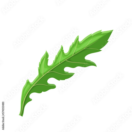 arugula salad cartoon vector illustration color sign