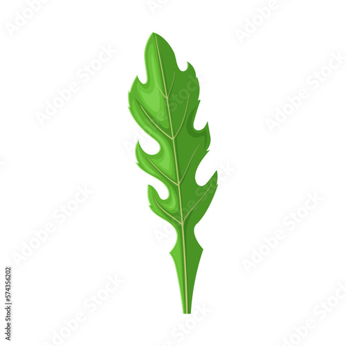 arugula fresh cartoon vector illustration color sign