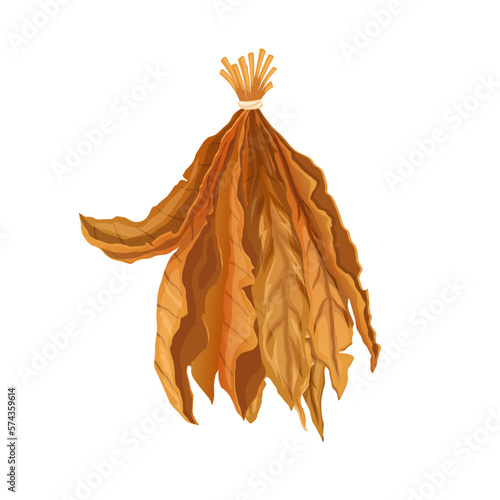 tobacco leaf cartoon vector illustration color sign