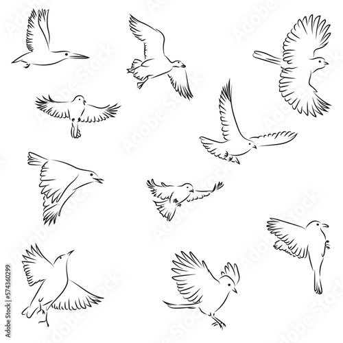 10 Fliegende Vöge Lineart Zeichnungen Vektor Grafik | Flying Birds Drawing Vector Graphic