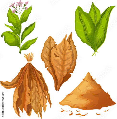 tobacco leaf nicotine set cartoon vector illustration color sign