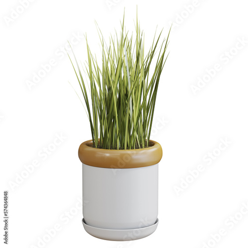 3d rendering of a household plant  flower