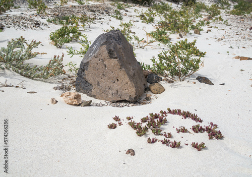 stone on the beach
