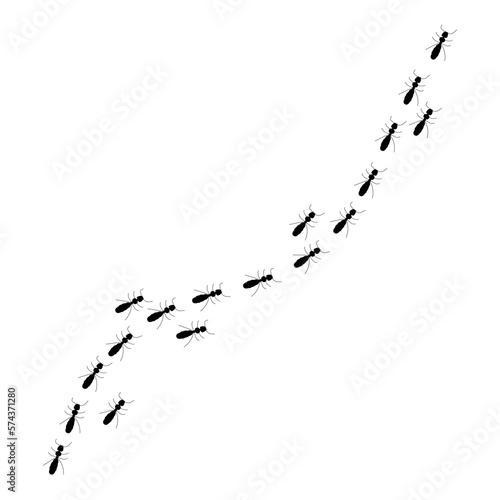 Ant trail silhouette, a path of insects in search of food. Isolated on white background