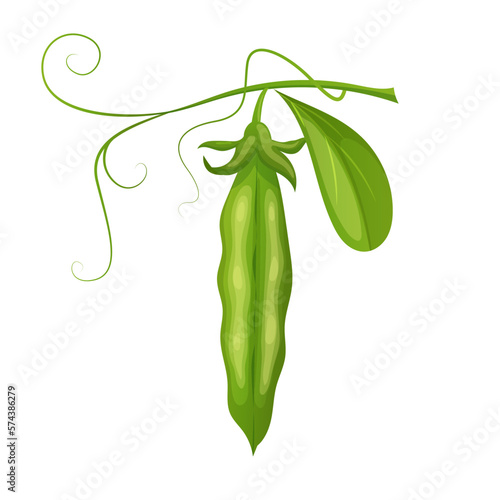 green pea food cartoon vector illustration color sign