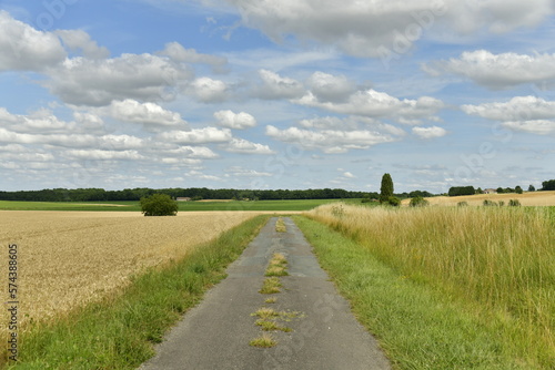 Route   troite de campagnes entre les champs d agriculture pr  s du bourg de Champagne au P  rigord Vert 