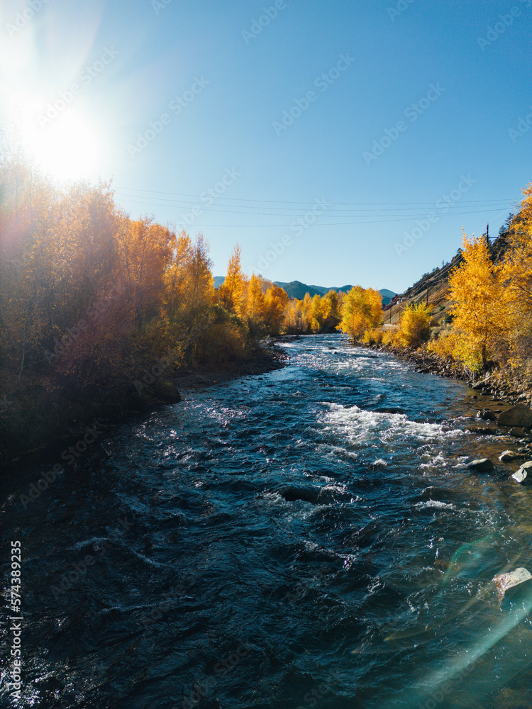 Mountain River during Fall with Golden Leaves Mountain River during Fall with Golden Leaves