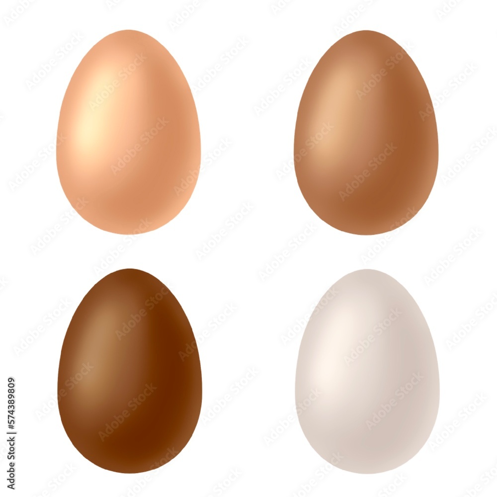 Natural colour egg isolated set. Realistic chicken eggs on white background 