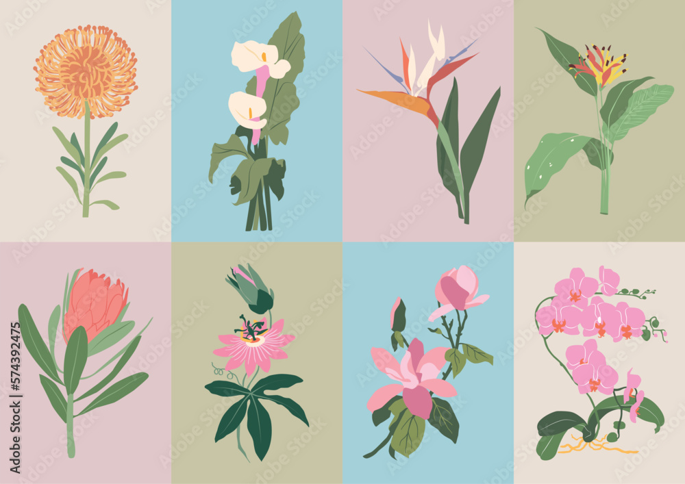 Bohemian collection with wildflowers and botanical illustrations for your wall art gallery	