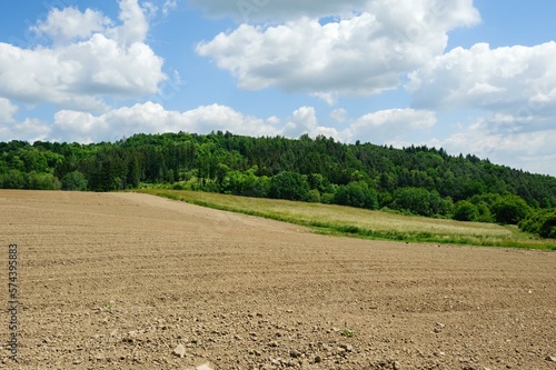 Beautiful green landscape with meadow, trees and sky