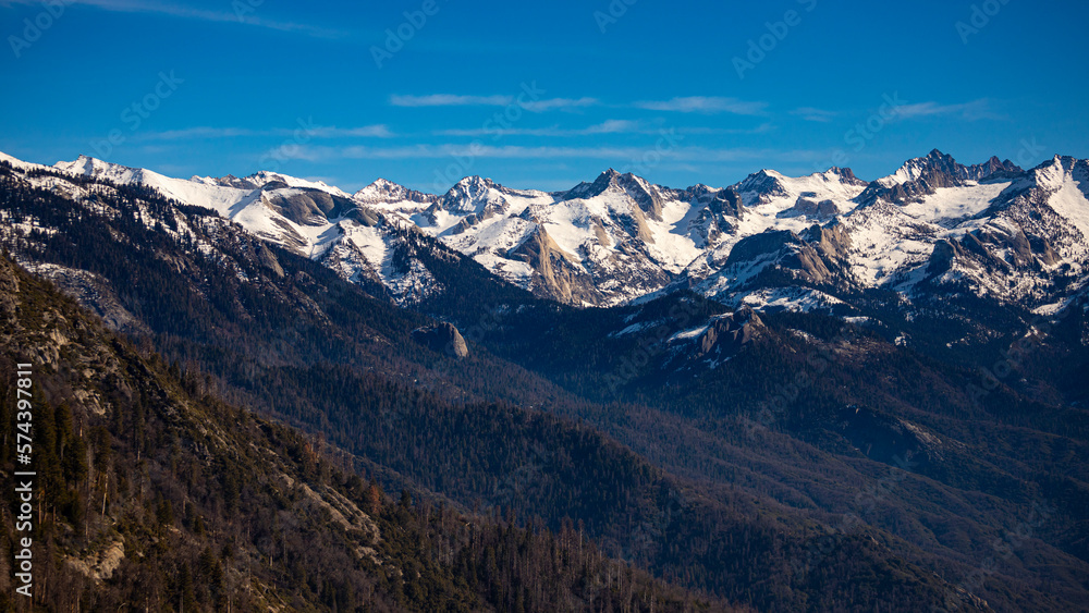 panorama of mountains in sequoia national park seen from moro rock; spring panorama of unique mountains with large sequoia trees