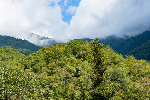 Mountains and forests of Abkhazia.