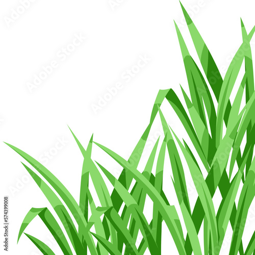 Background with green grass. Beautiful decorative summer lawn.