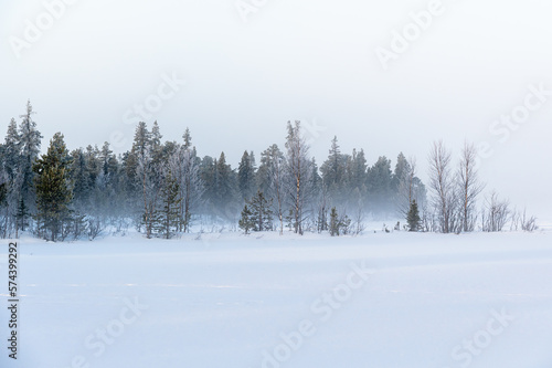The beautiful winter landscape of Sweden in Scandinavia. 