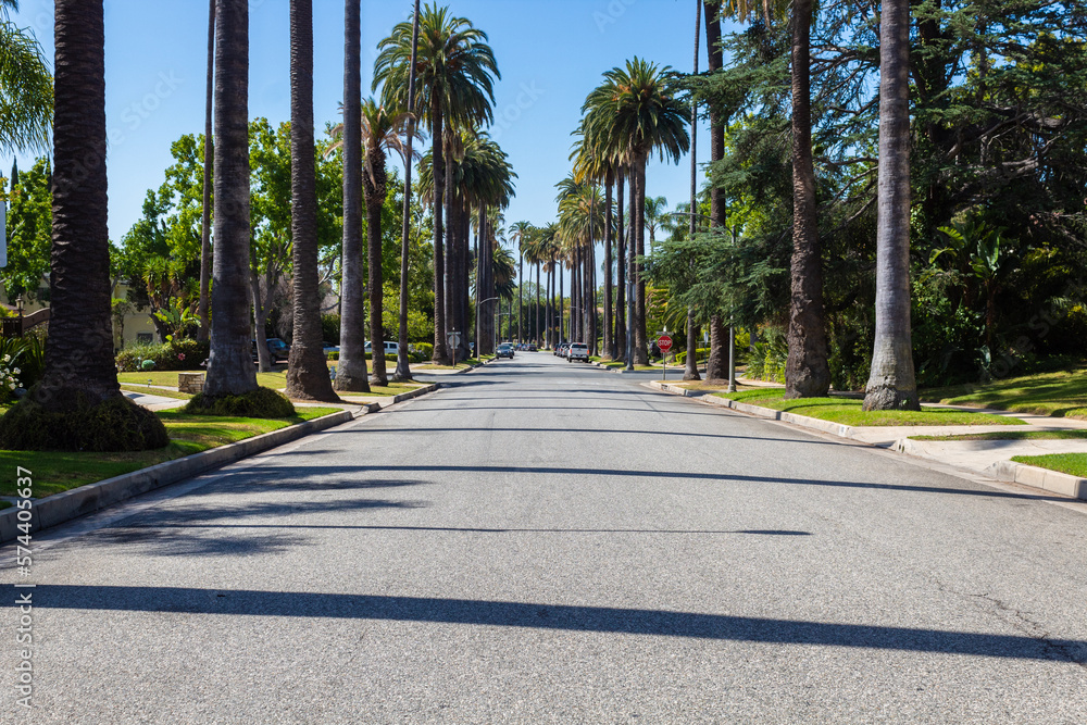 Los Angeles, California, USA, June 21, 2022: Palm trees street in Beverly Hills, Los Angeles.