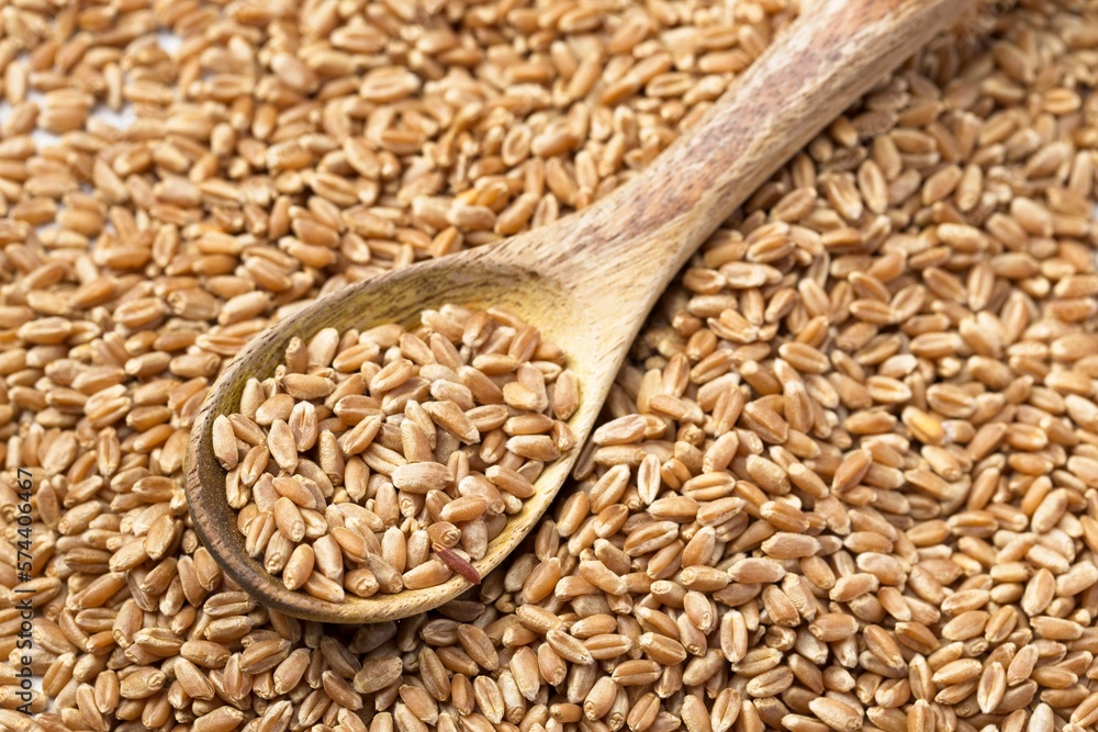 Flatlay of wooden spoon in berries.