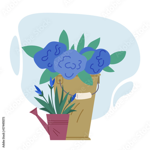 Indoor garden plants and fresh flowers in pot and watering can isolated on white. House growing potted houseplants set for greenhouse design. Landscape design elements, decor on terrace or threshold