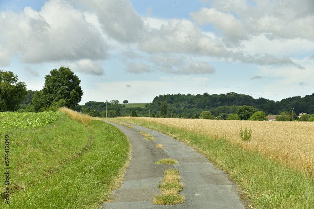 Chemin de campagne en bitume entre les prairies et les champs de blé près du bourg de Champagne au Périgord Vert 
