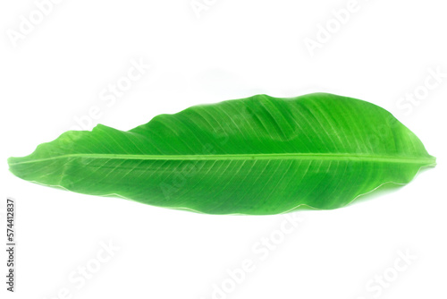 Fresh banana tree leaf isolated on white background