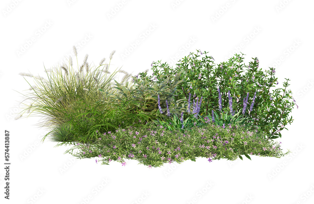 A small garden decorated with many plants on a transparent background. - obrazy, fototapety, plakaty 