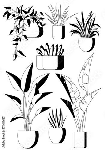 Plant in pot vector illustration flowerpots set line art style. Different indoor potted decorative houseplants for interior home or office decoration, green garden floral collection isolated on white