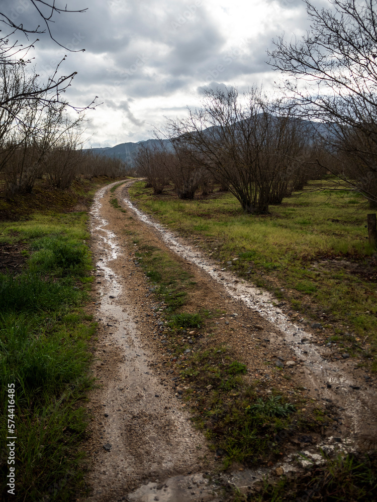 imagen de un camino de tierra mojado con agua con hierba a ambos lados, árboles secos fuera del camino y las montañas de fondo con el cielo nublado