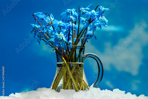 Snowdrops on white snow against blue sky. Beautiful bouquet of blue snowdrops in glass vase of water, stands on white snow, against background of spring blue sky, in sun's rays, close-up.
