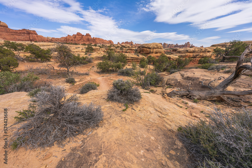 hiking the chesler park loop trail in the needles in canyonlands national park, usa hiking the chesler park loop trail in the needles in canyonlands national park, usa