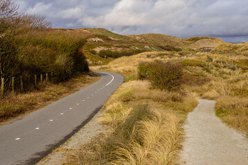 Foto auf Acrylglas Nordsee Bicycle and walking path on the dunes at the North Sea shore  © zivko.trikic