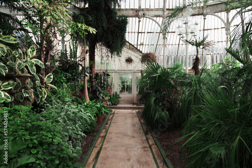 View of a beautiful old victorian greenhouse with tropical plants. Concept of nature conservation and growth