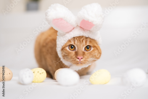 Canvas Print Cute ginger cat in a bunny suit plays with Easter eggs on a white bed