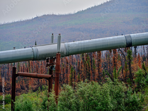 Close-up of the Alaska Pipeline amid the burnt Taiga trees after recent forest fires