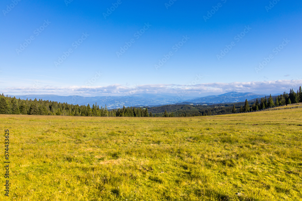 Beautiful landscape with green grass and blue sky for backgrounds or banner