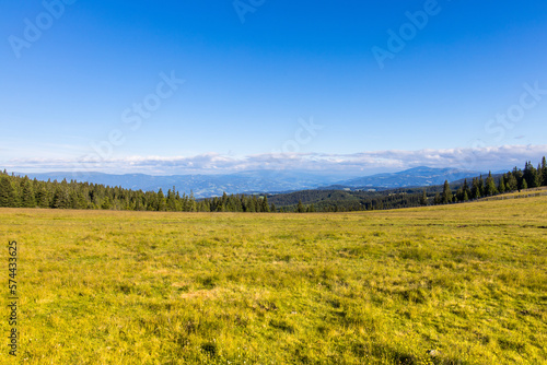 Beautiful landscape with green grass and blue sky for backgrounds or banner