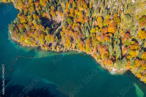 Colorful autumn tree tops on a lake shore seen from above and useable as background