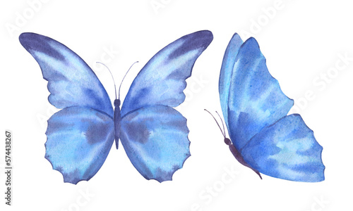Canvas Print A set of delicate cute blue butterflies