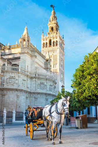 Traditional Horse and Carriage in front of the Giralda Tower. Seville, andalusia